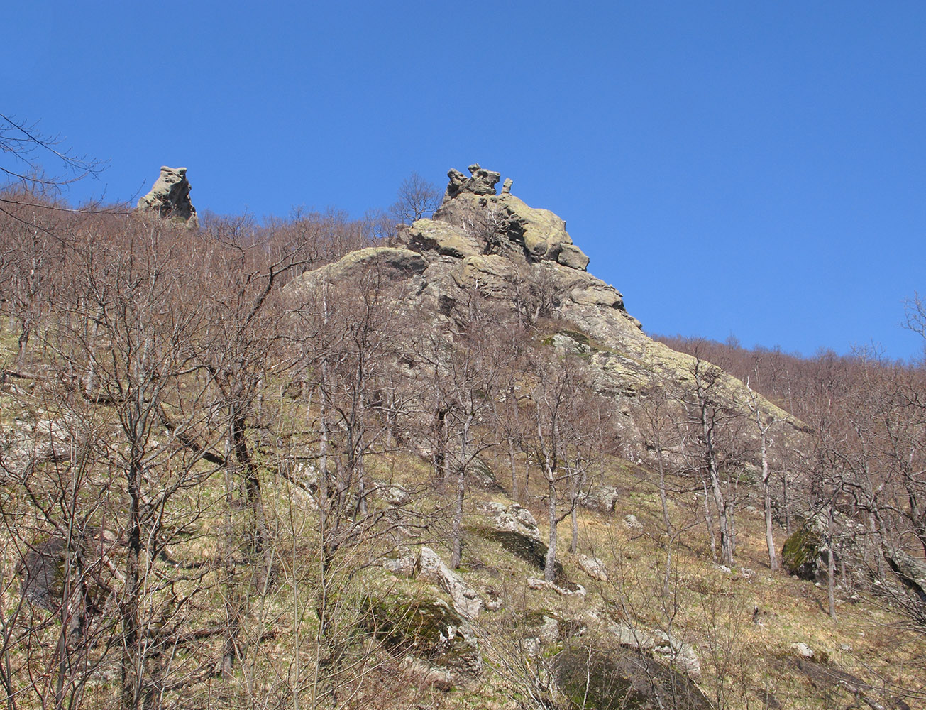 Гора Индюк, image of landscape/habitat.