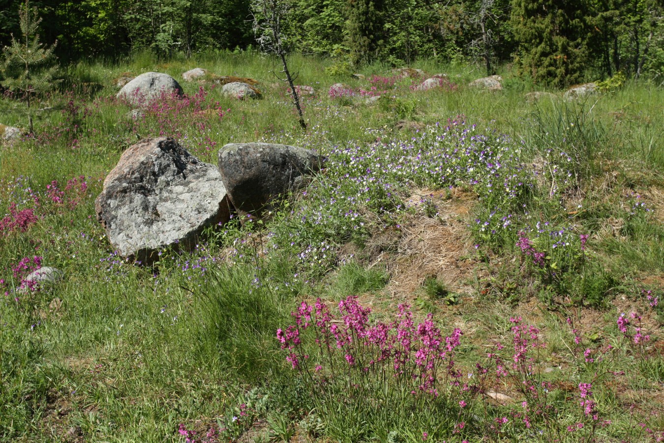 Каравалдай, image of landscape/habitat.