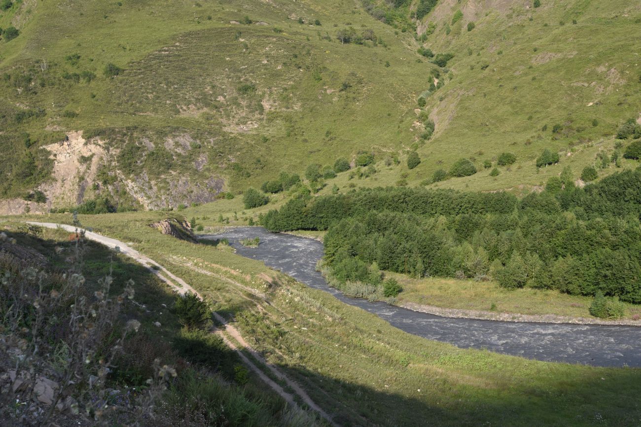 Шарой, image of landscape/habitat.