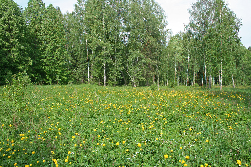 Иж-Бобья, image of landscape/habitat.