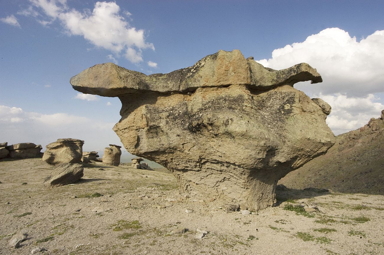 Урочище Каменные Грибы, image of landscape/habitat.