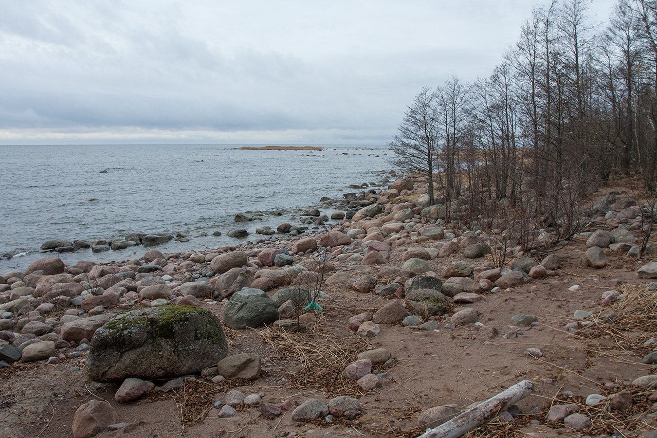 Серая Лошадь, image of landscape/habitat.