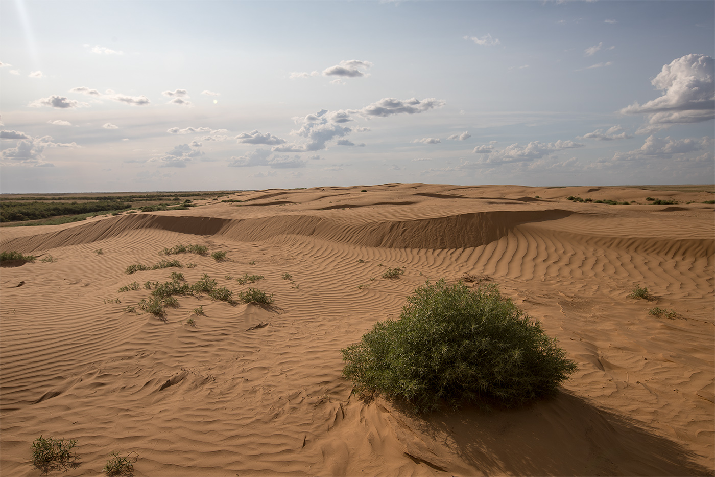 Окрестности посёлка Адык, image of landscape/habitat.