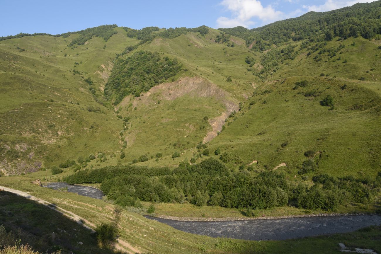 Шарой, image of landscape/habitat.