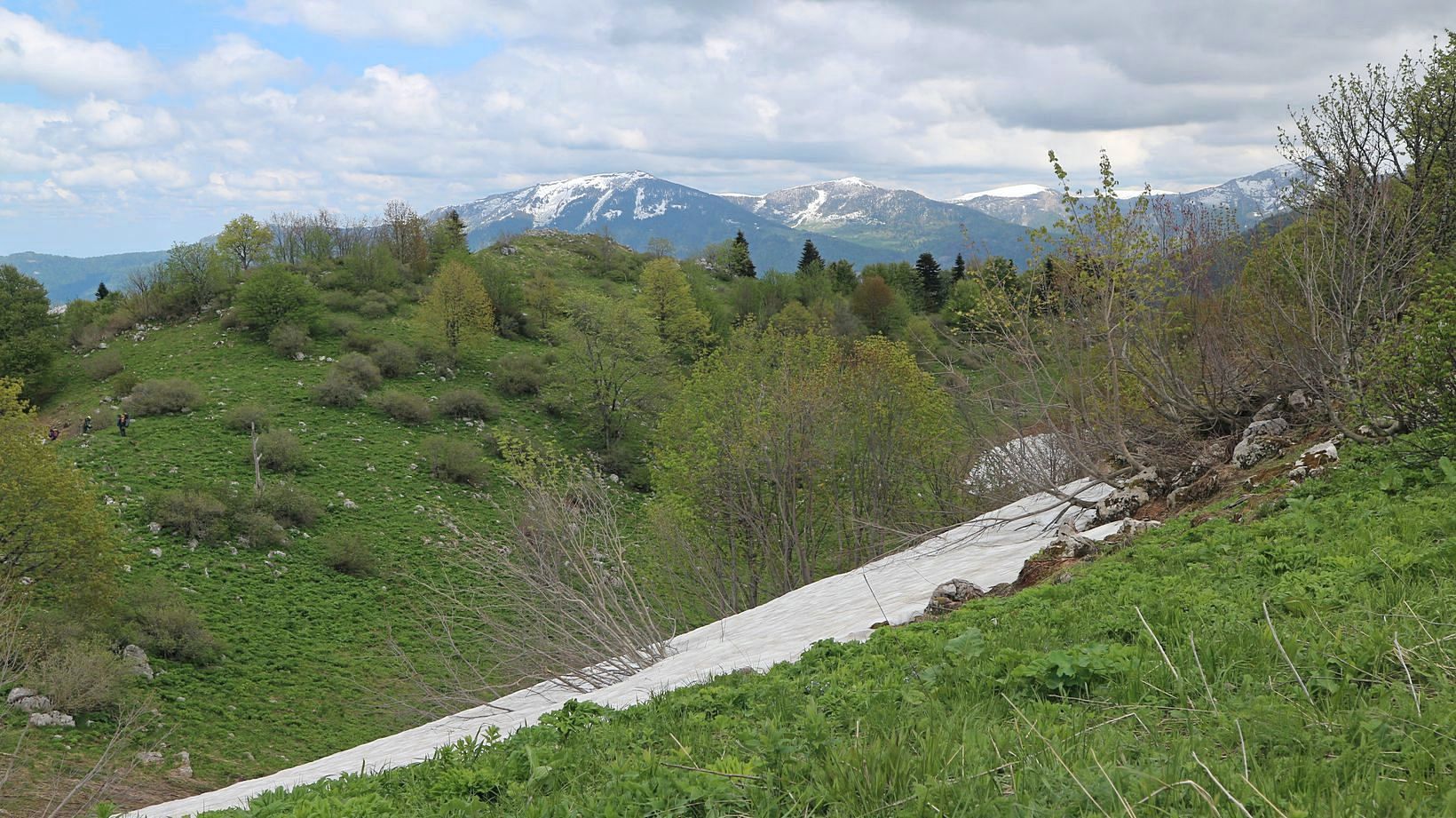 Черногор, image of landscape/habitat.