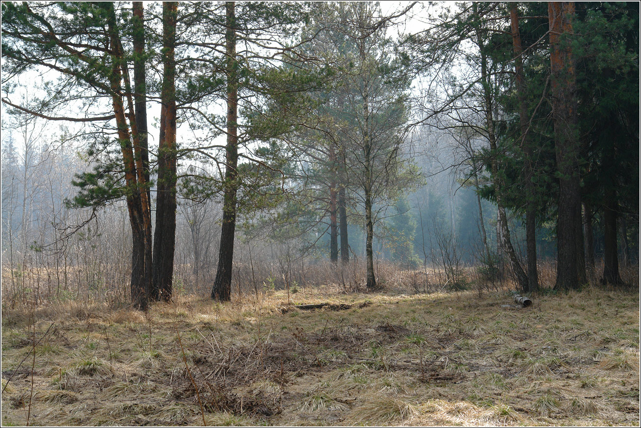 Окрестности Хрипани, image of landscape/habitat.