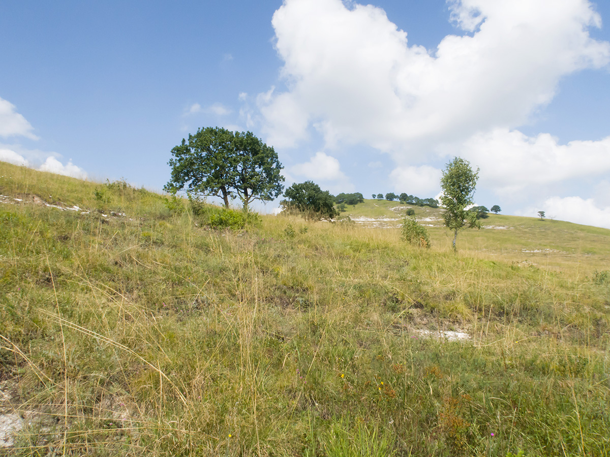 Герпегем, image of landscape/habitat.