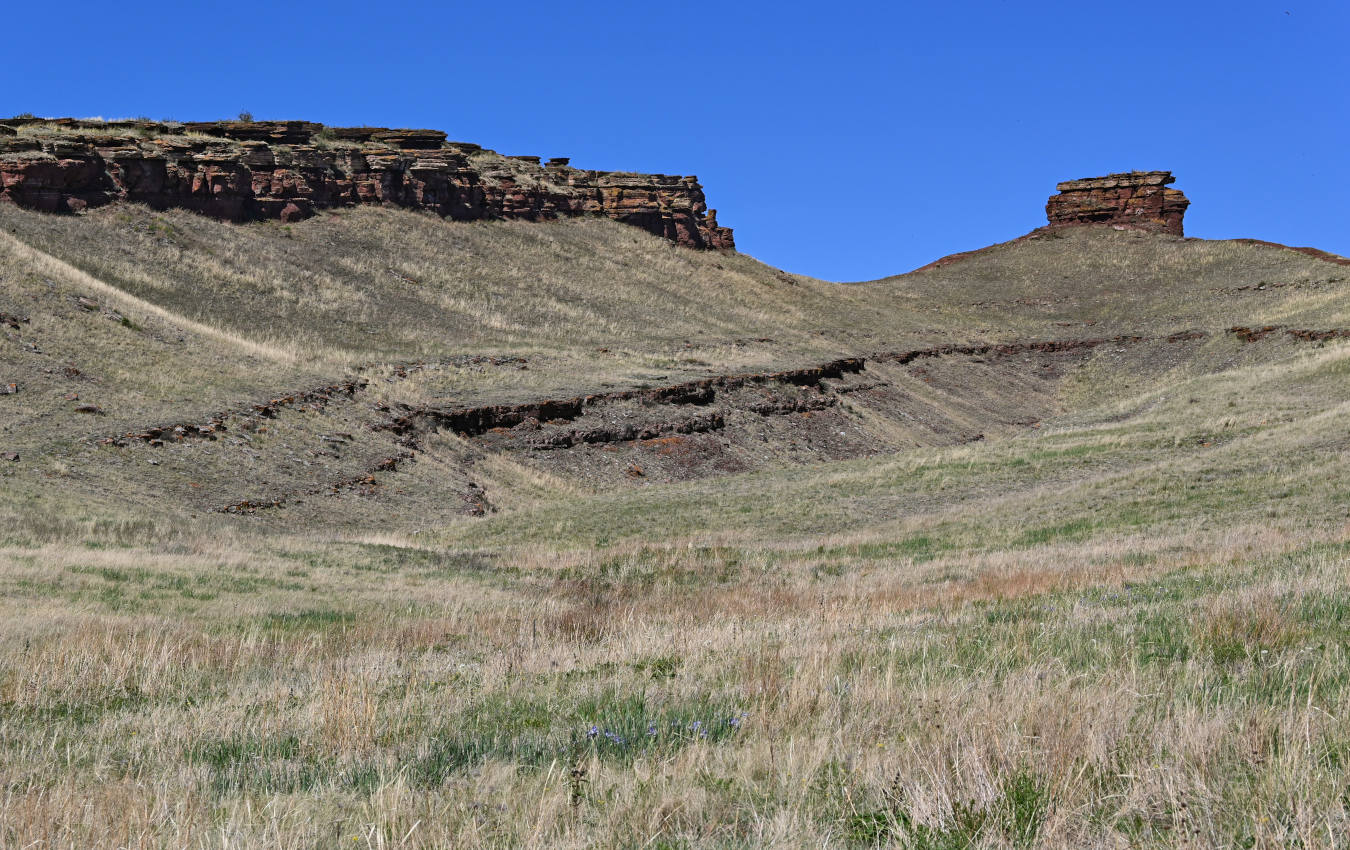 Сундуки, image of landscape/habitat.