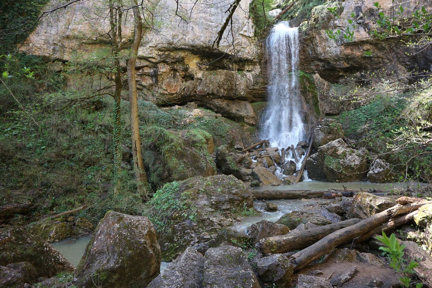 Долина реки Мезмай, image of landscape/habitat.