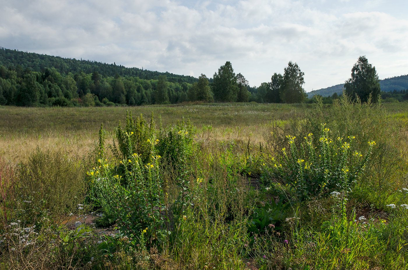 Усть-Аяз и окрестности, image of landscape/habitat.