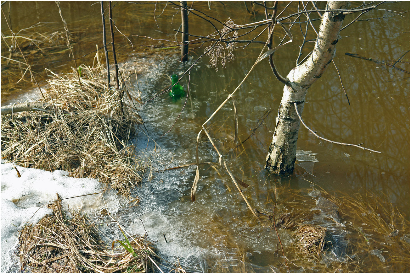 Окрестности Хрипани, image of landscape/habitat.