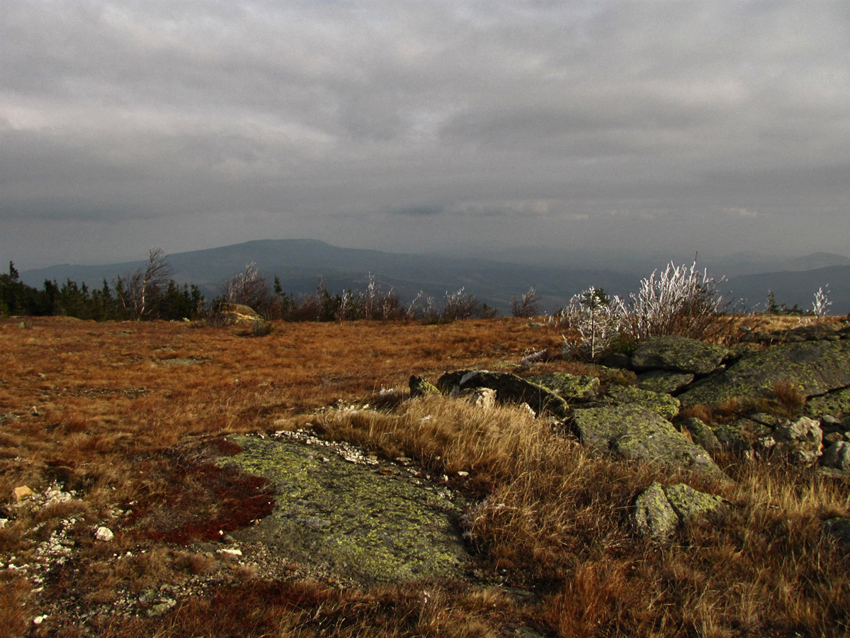 Национальный парк "Таганай", image of landscape/habitat.