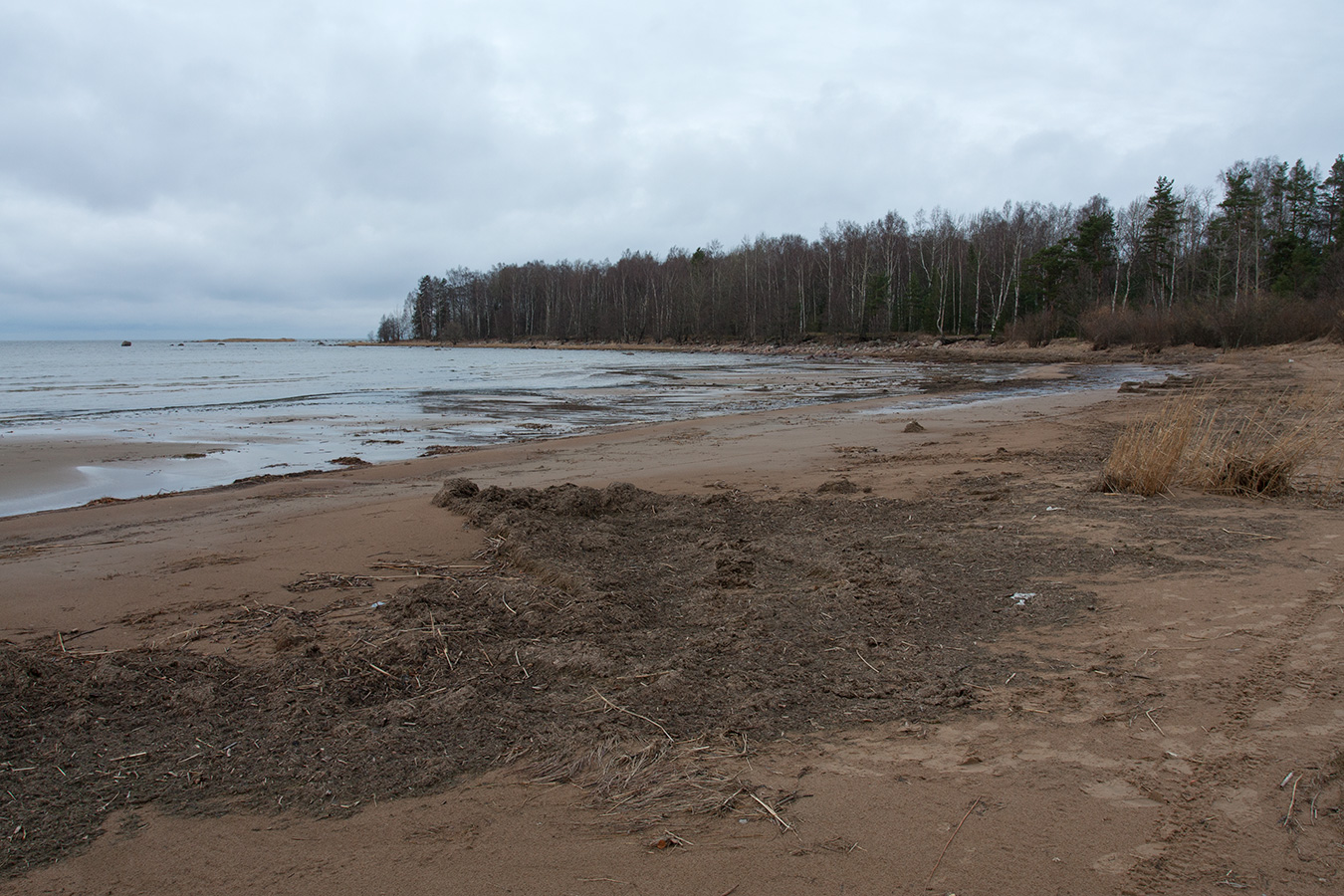 Серая Лошадь, image of landscape/habitat.