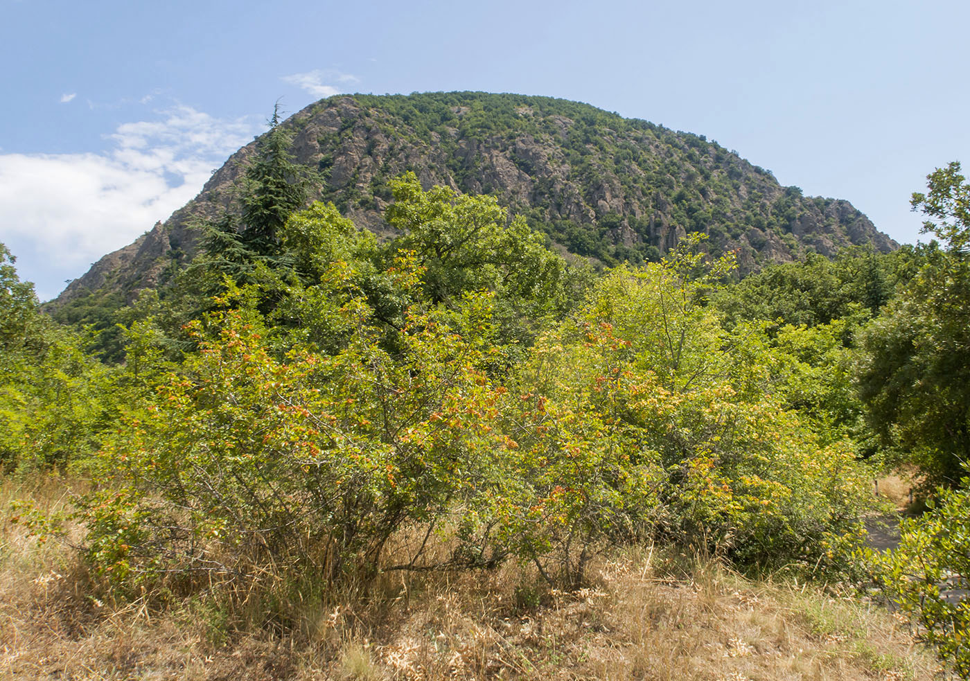 Аюдаг, image of landscape/habitat.