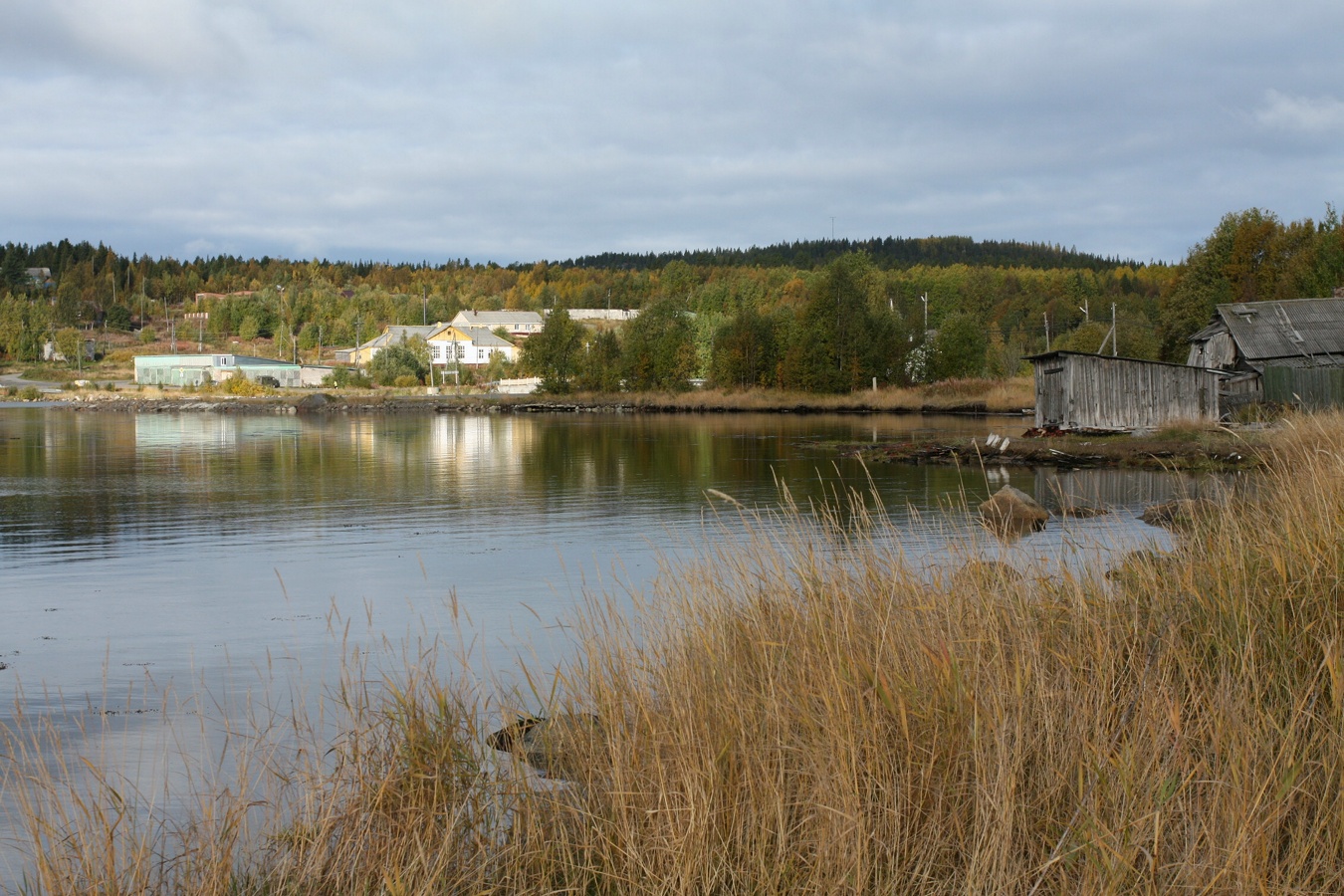 Умба, image of landscape/habitat.