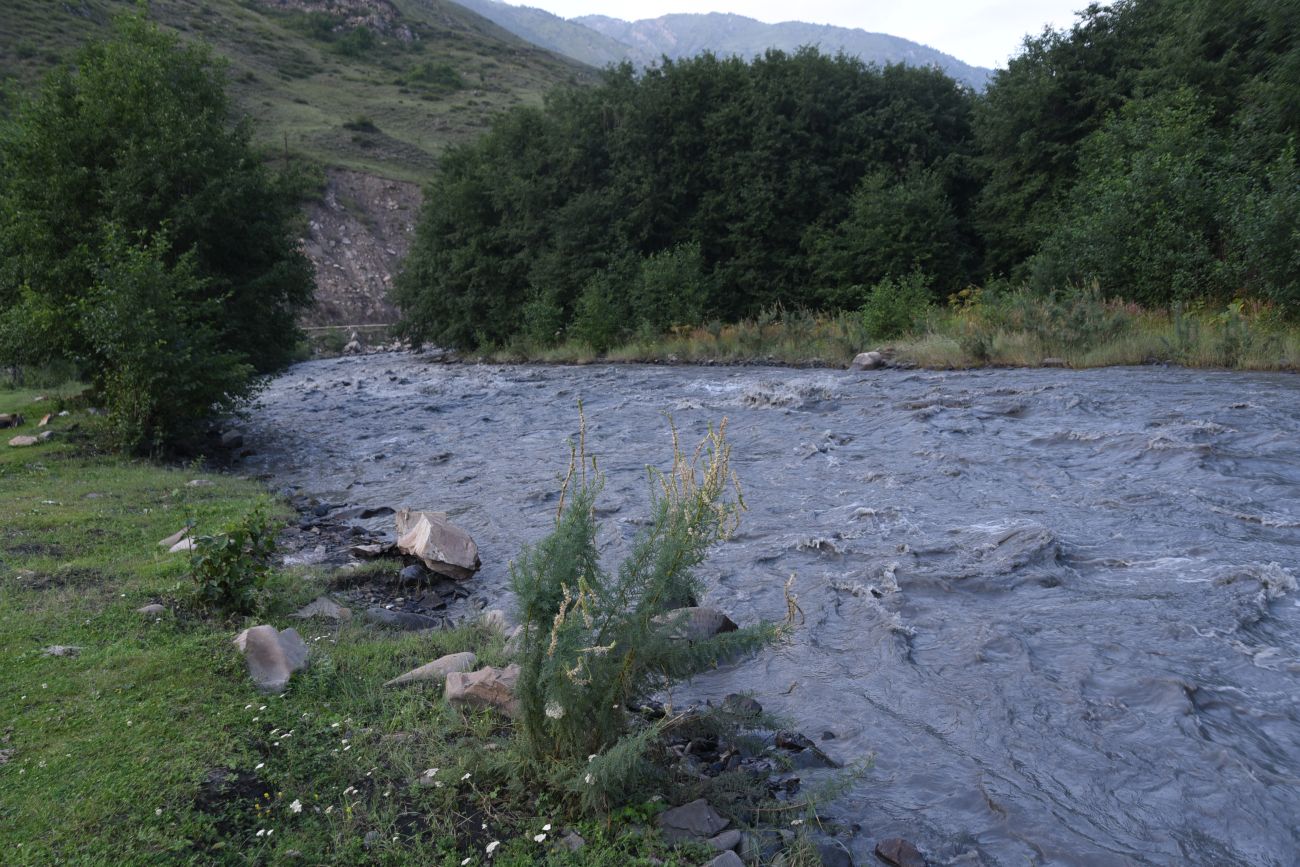 Химой, image of landscape/habitat.