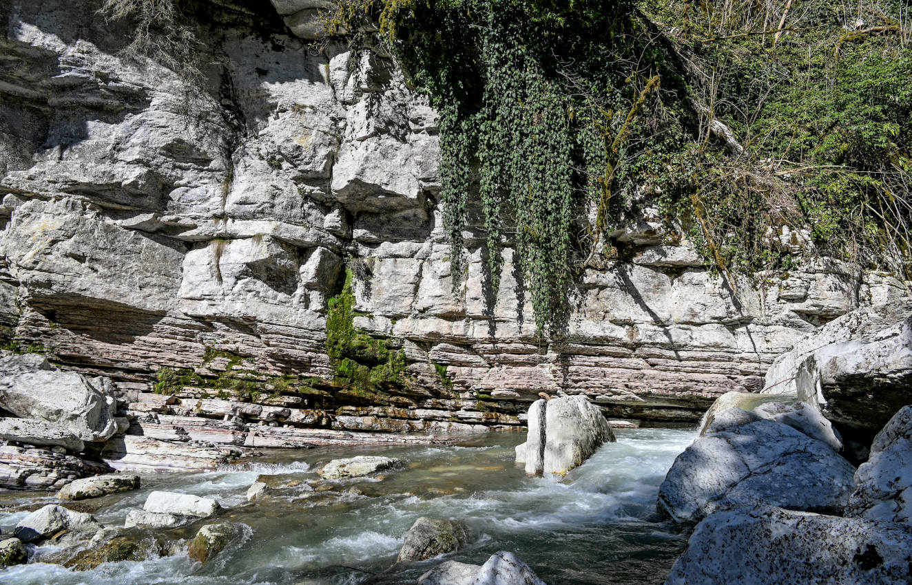 Ущелье реки Большая Хоста, image of landscape/habitat.