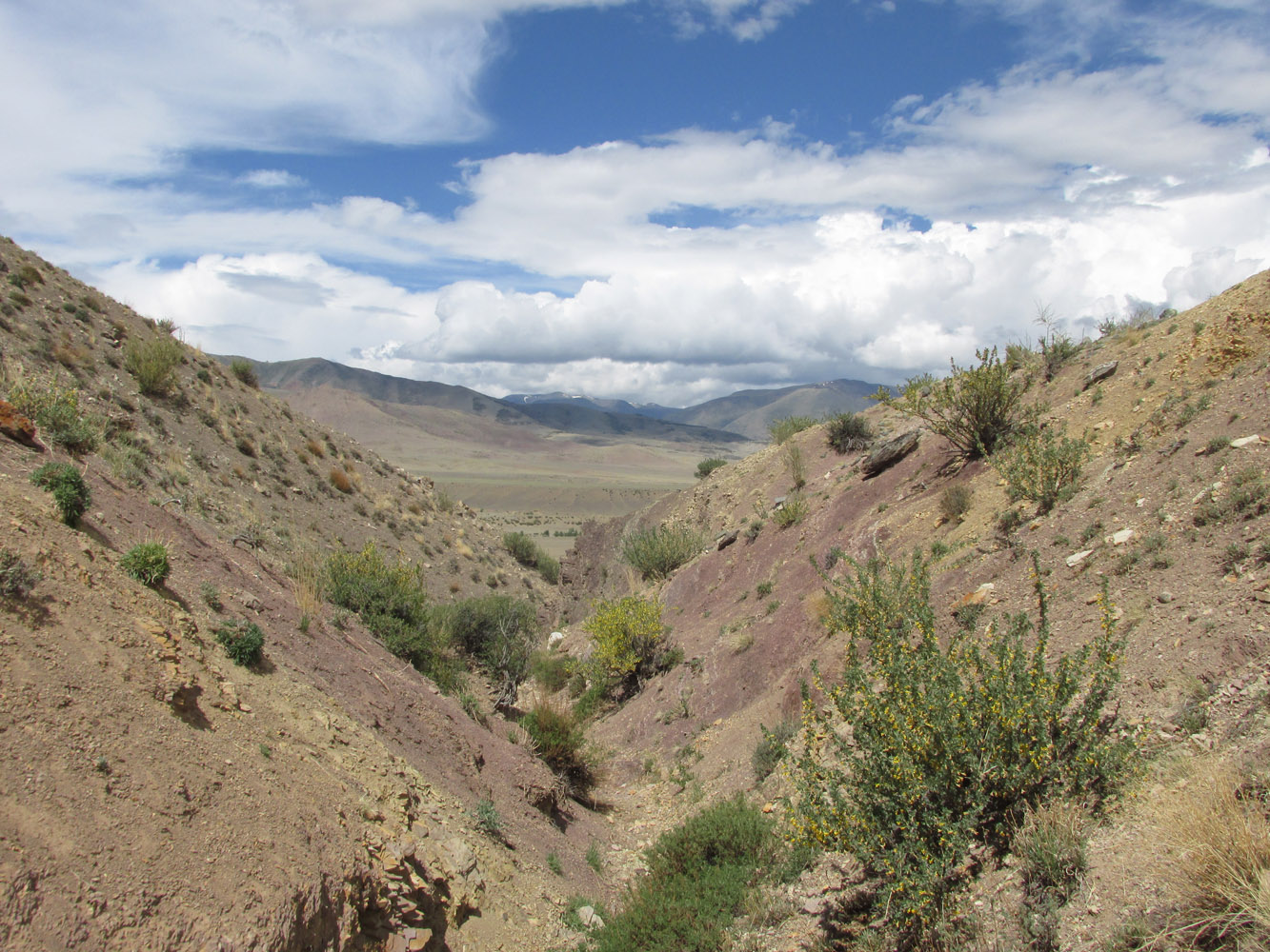 Урочище Марс, image of landscape/habitat.