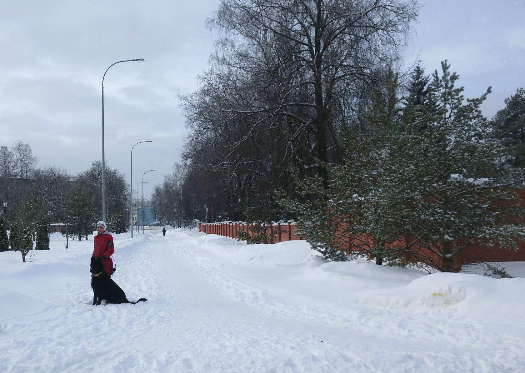 Лосино-Петровский и окрестности, изображение ландшафта.