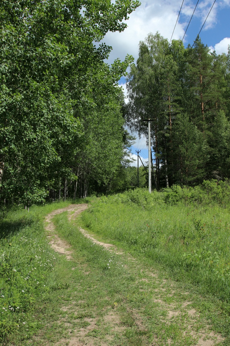 Окрестности Кемки, image of landscape/habitat.