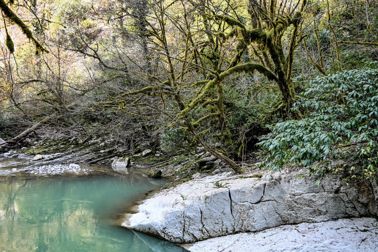 Ущелье реки Большая Хоста, image of landscape/habitat.