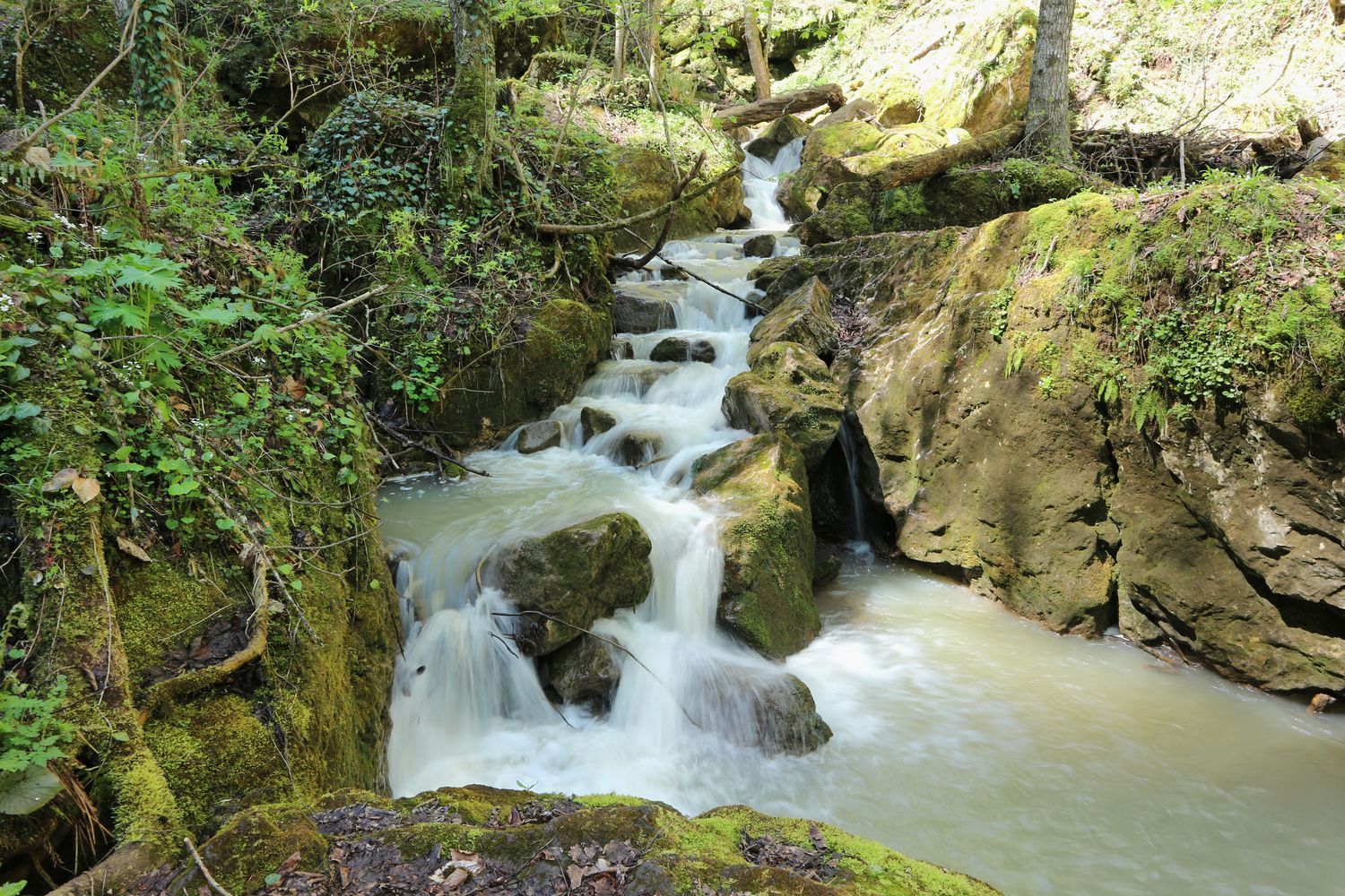 Долина реки Мезмай, image of landscape/habitat.