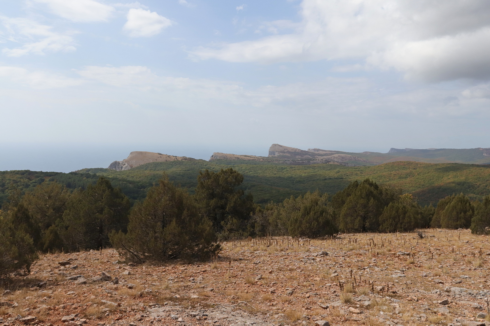 Ай-Петринская яйла, image of landscape/habitat.