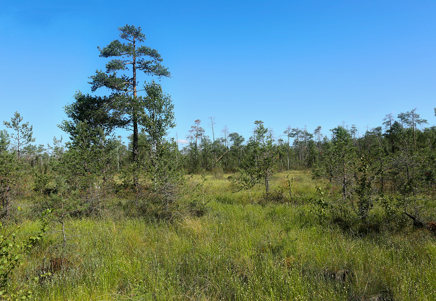 Окрестности Краснокамска, image of landscape/habitat.