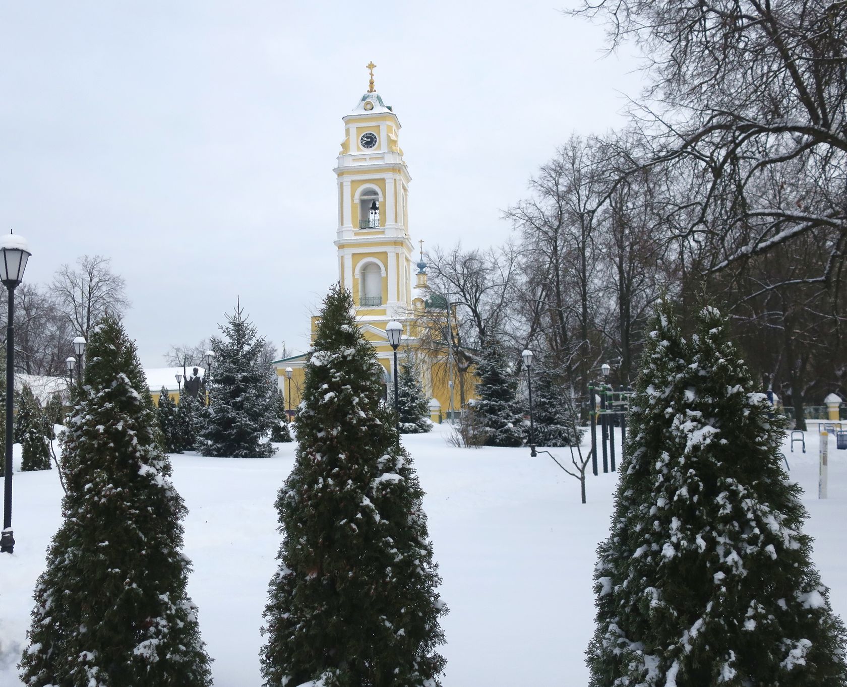 Лосино-Петровский и окрестности, изображение ландшафта.