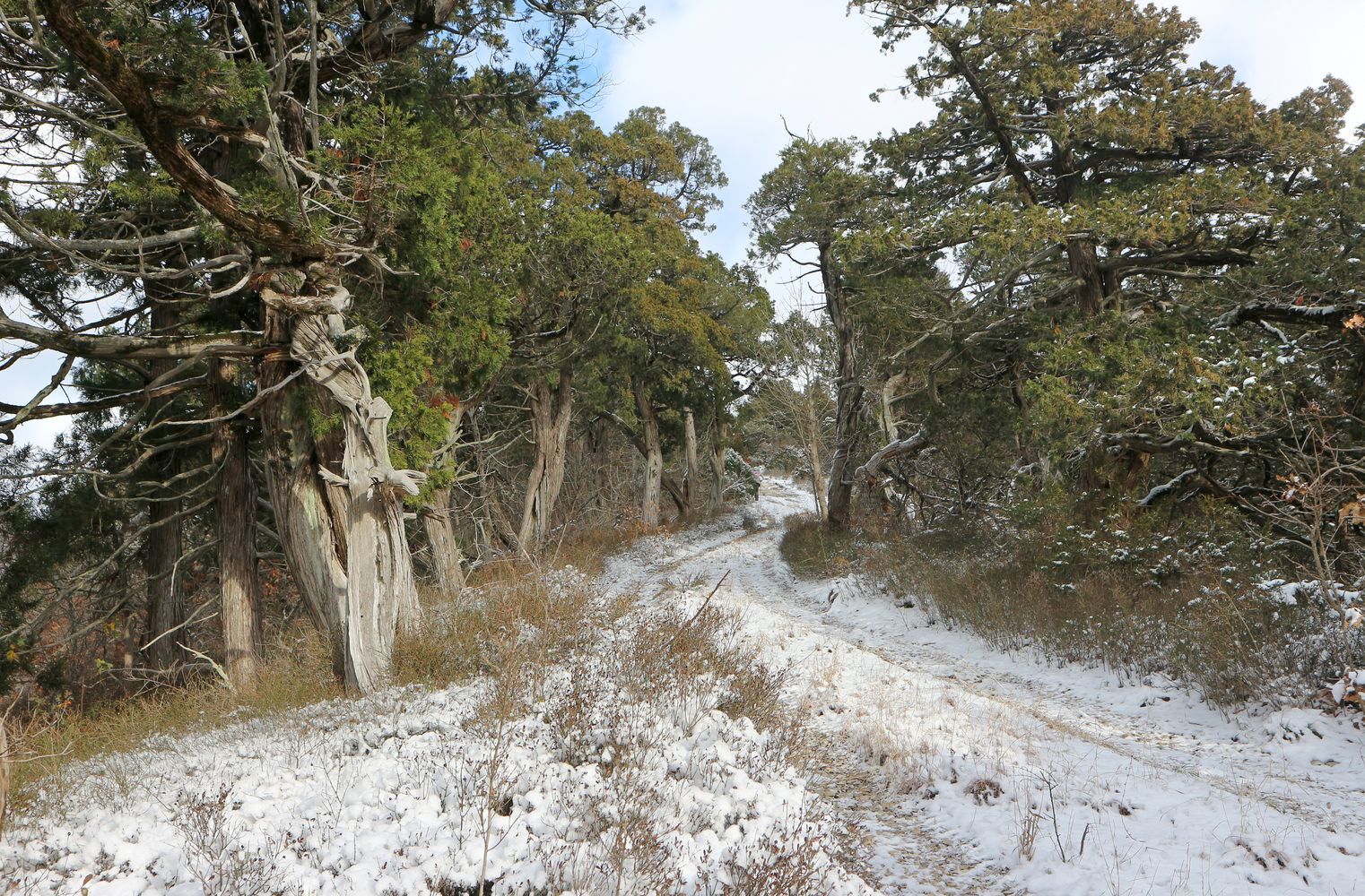 Трубецкая щель, image of landscape/habitat.