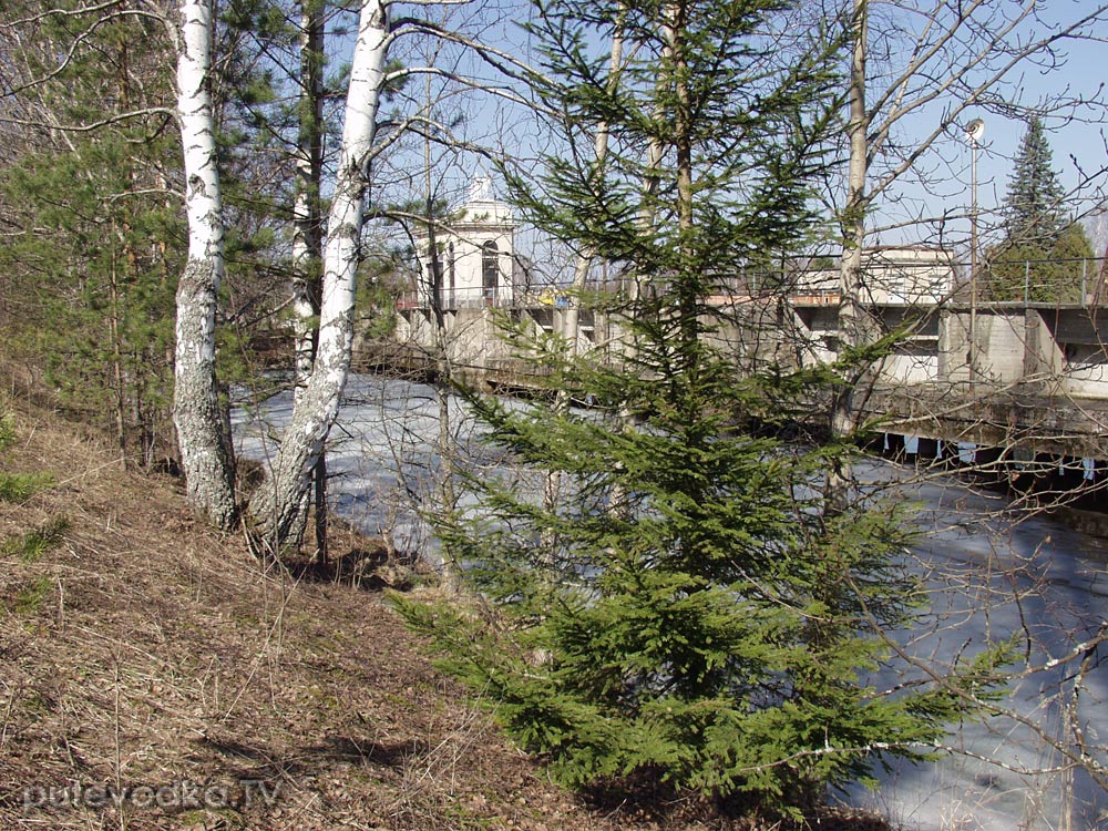 Шлюз №2 канала им. Москвы, image of landscape/habitat.