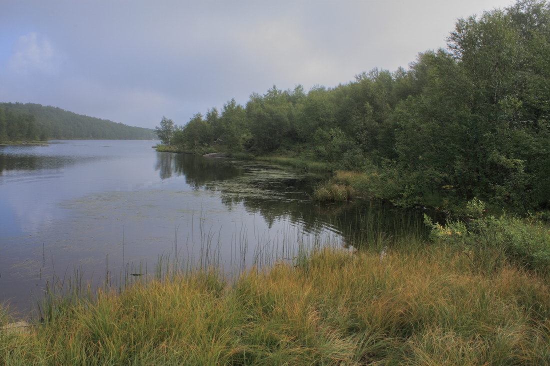 Окрестности Рогозера, image of landscape/habitat.