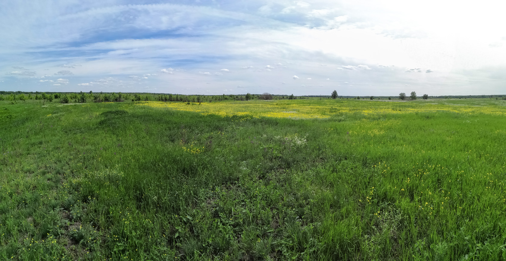 Окрестности хутора Себряков, image of landscape/habitat.