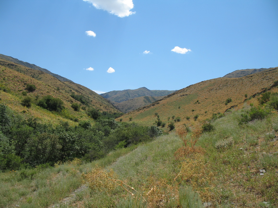 Беркара, image of landscape/habitat.