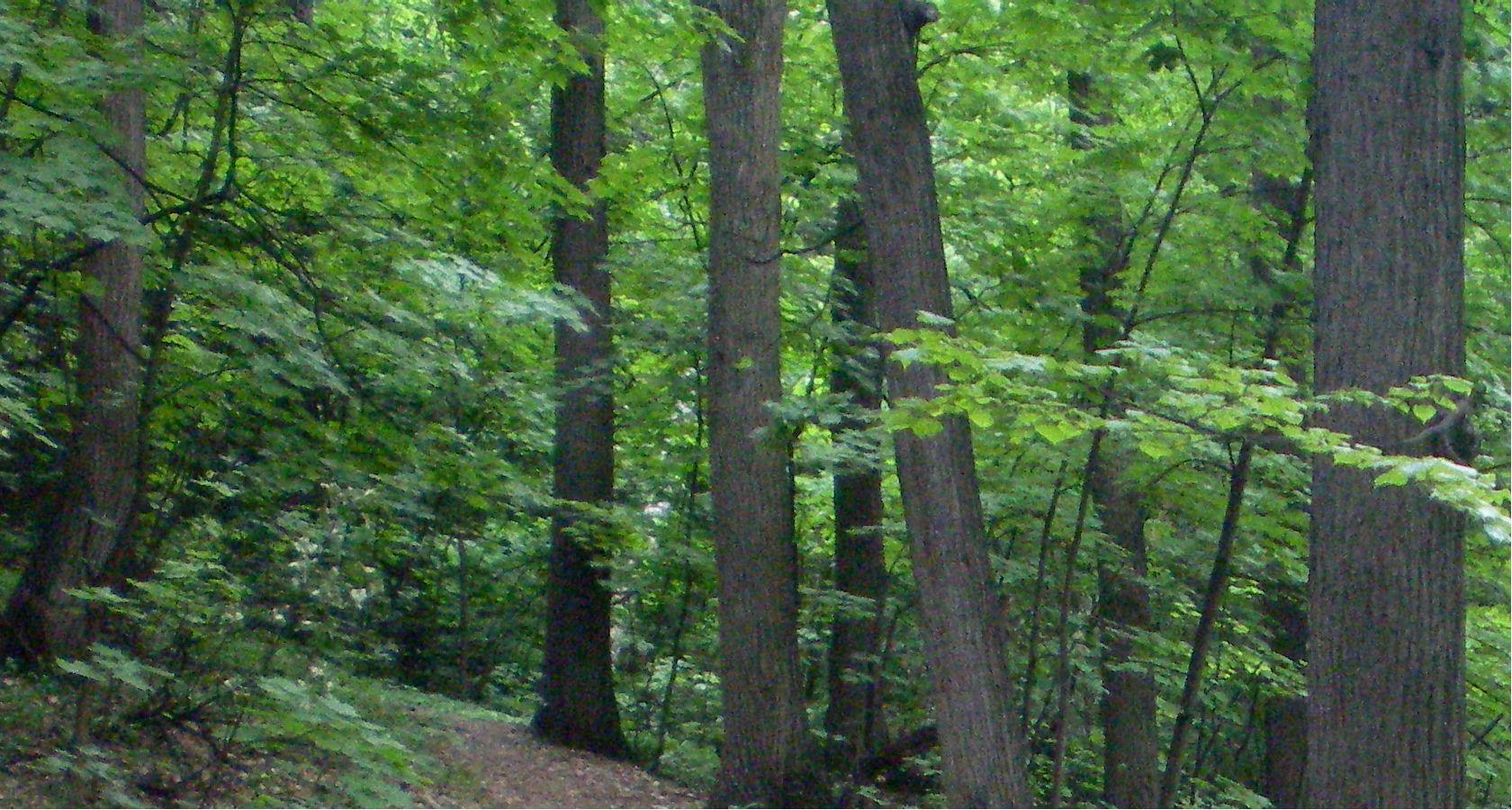 Окрестности города Заречного, image of landscape/habitat.