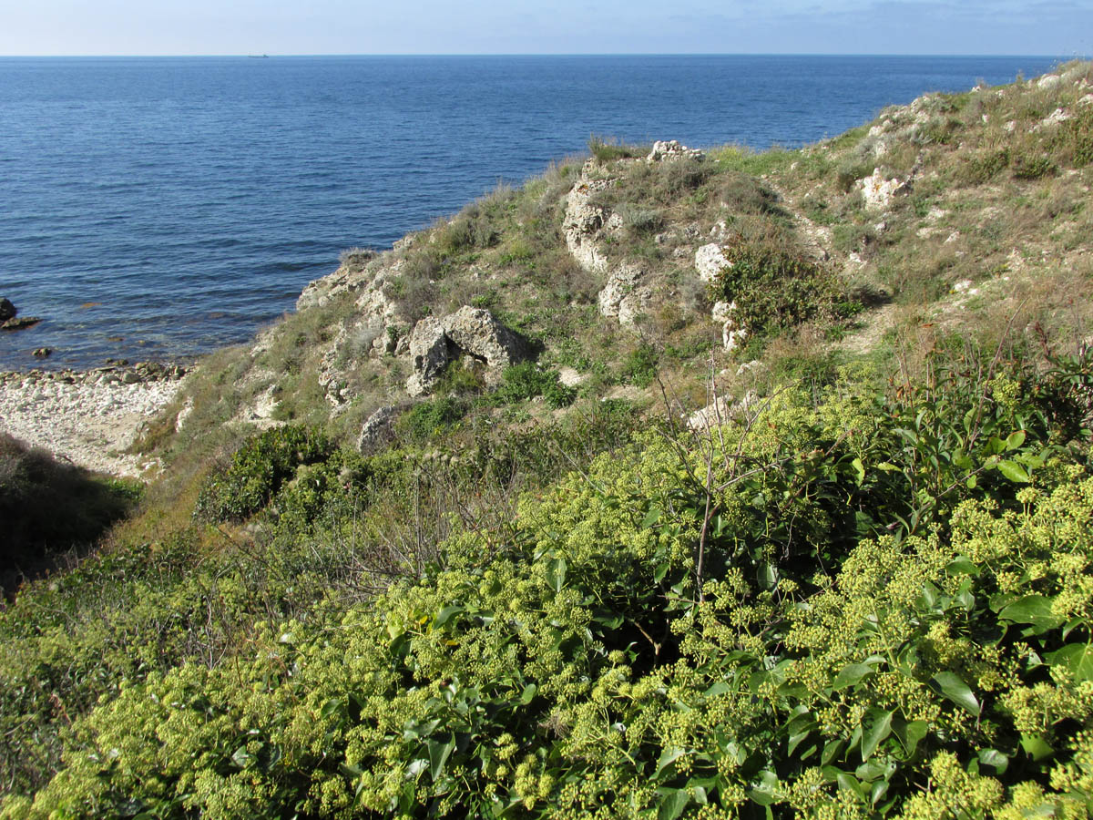 Джангуль, изображение ландшафта.