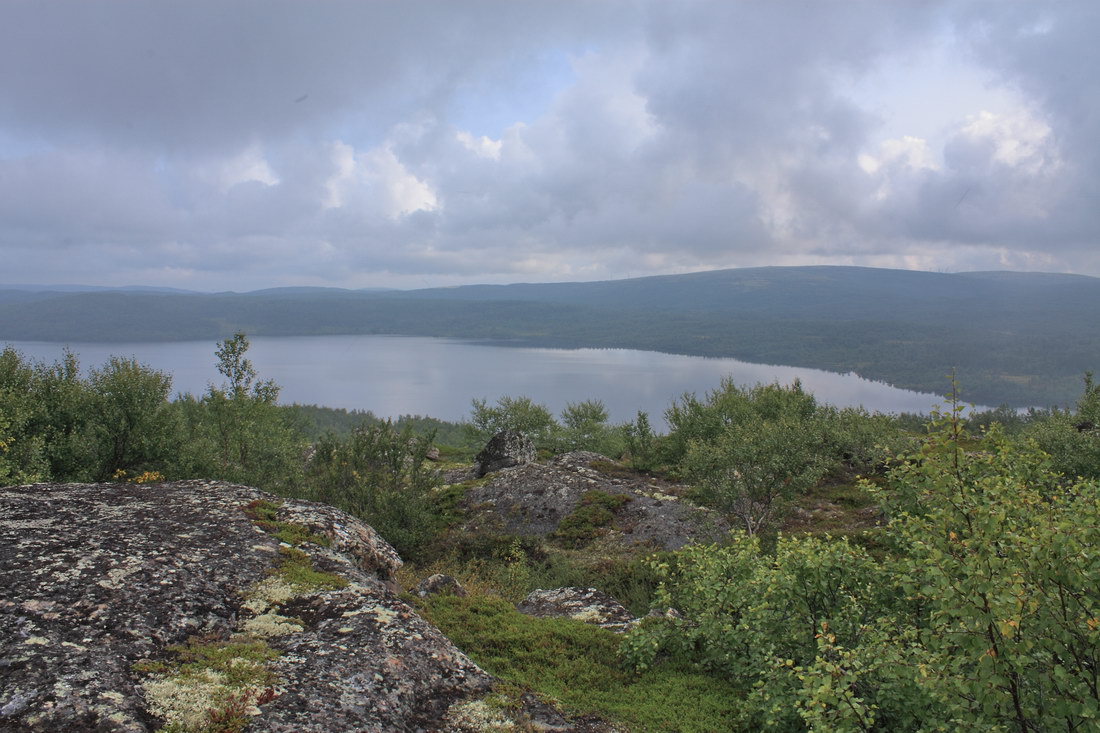 Окрестности Рогозера, image of landscape/habitat.