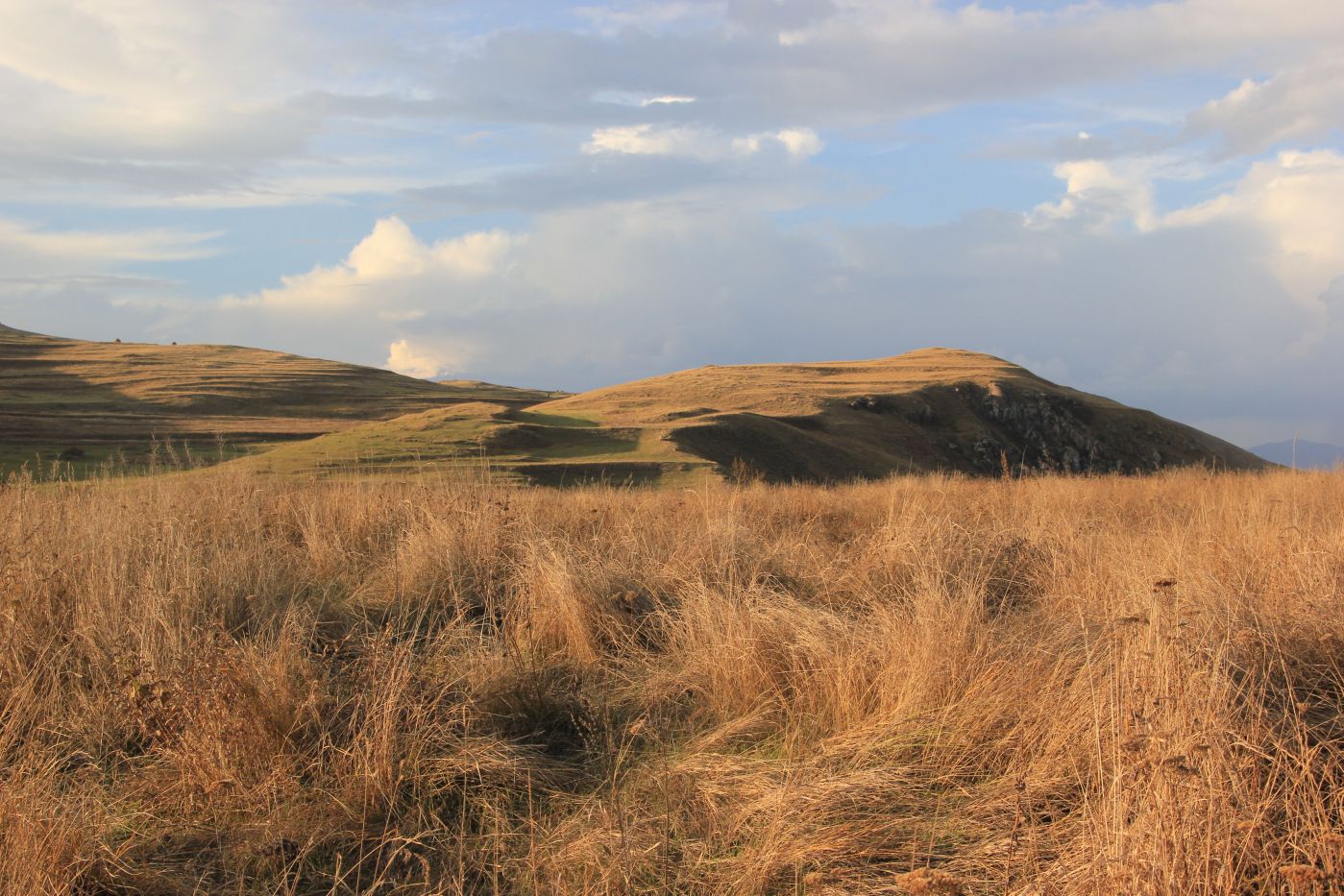 Окрестности Зеда-Тмогви, image of landscape/habitat.