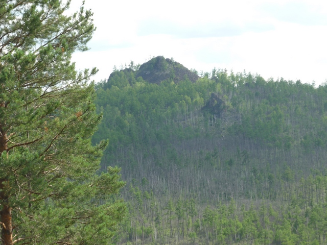 Бассейн р. Будюмкан, image of landscape/habitat.