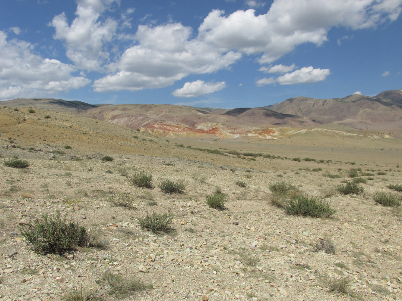 Урочище Марс, image of landscape/habitat.