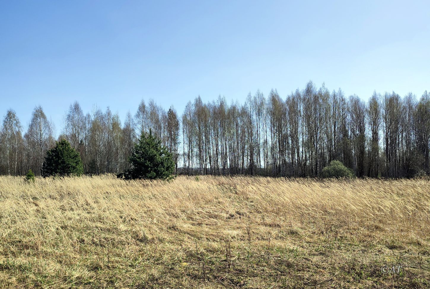 Верховья Каспли, image of landscape/habitat.