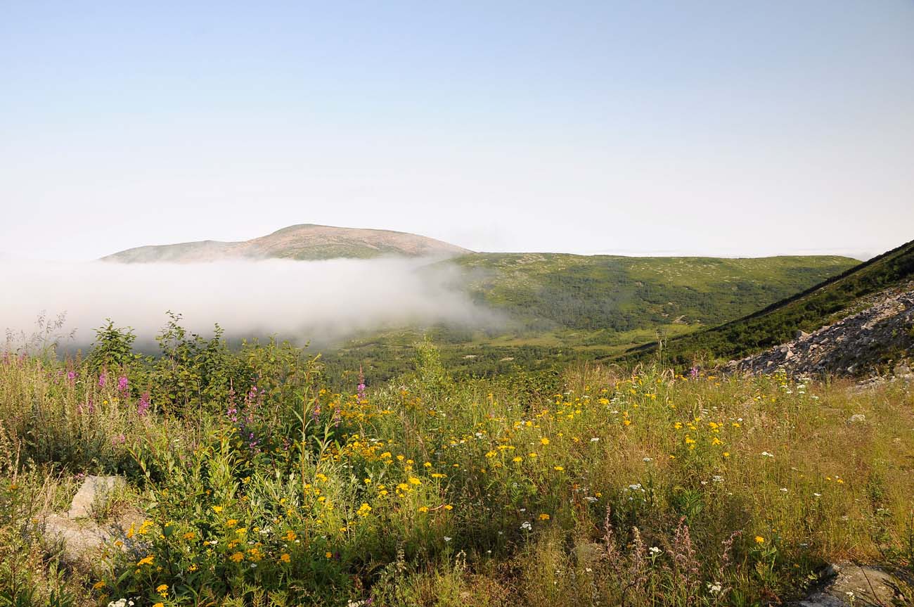 Верховья реки Магаданки, image of landscape/habitat.