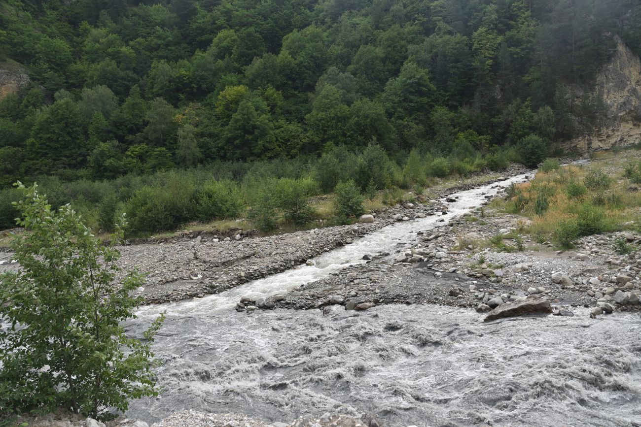 Окрестности устья реки Кенхи, image of landscape/habitat.