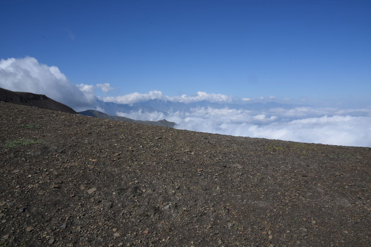 Гора Заинкорт, image of landscape/habitat.