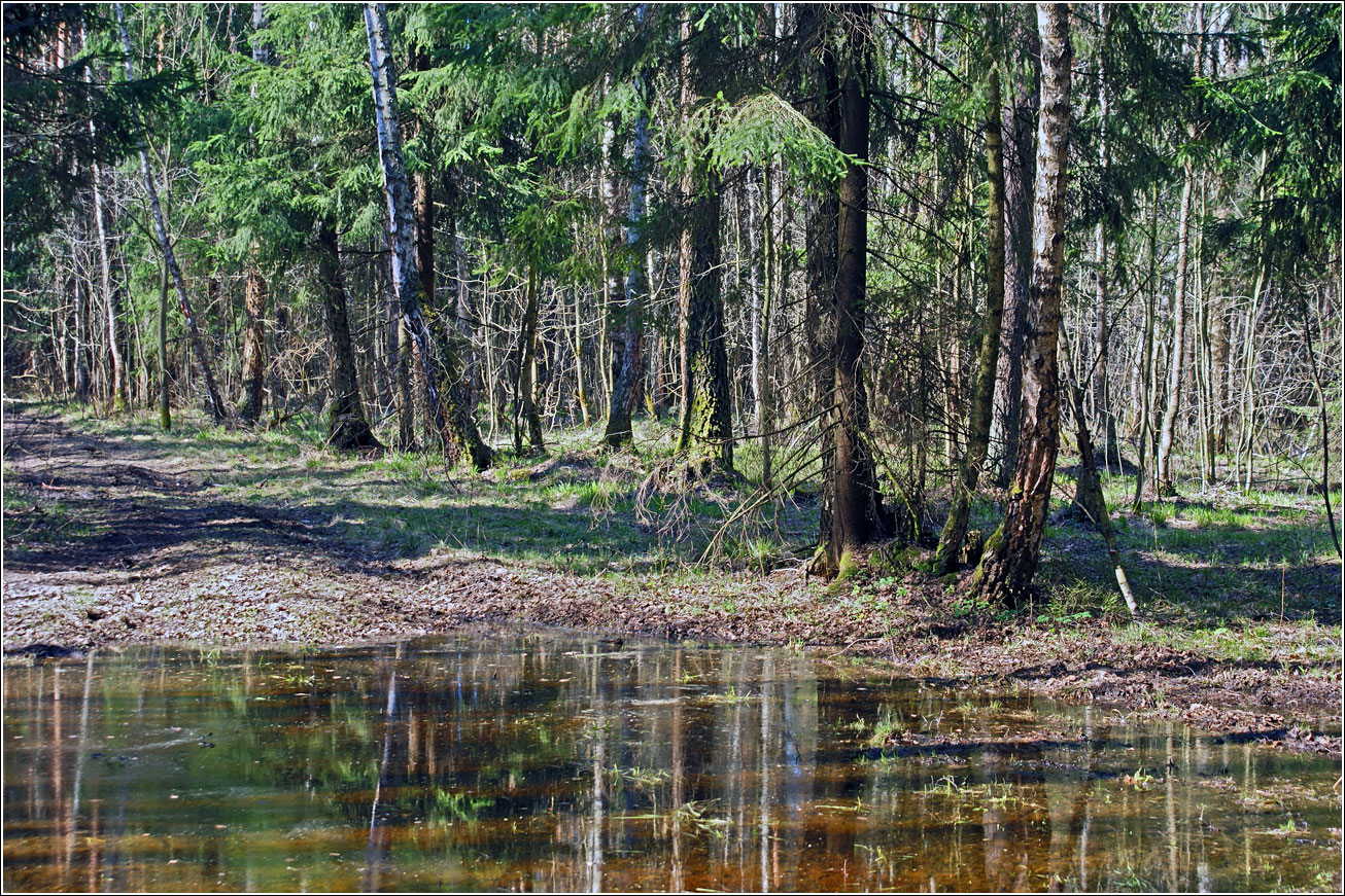 Окрестности Хрипани, image of landscape/habitat.