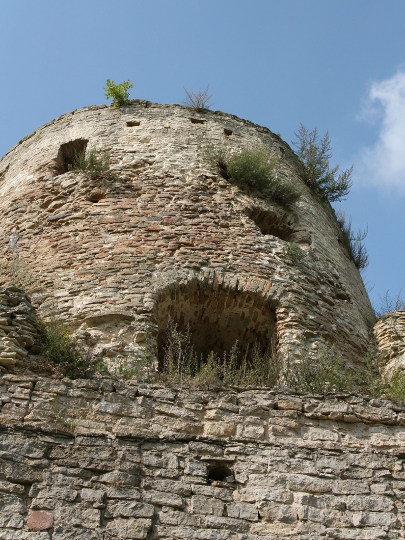 Изборск, image of landscape/habitat.