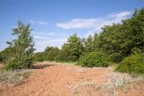 Шепелёвский маяк, image of landscape/habitat.