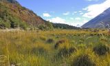 Эль-Чалтен, image of landscape/habitat.