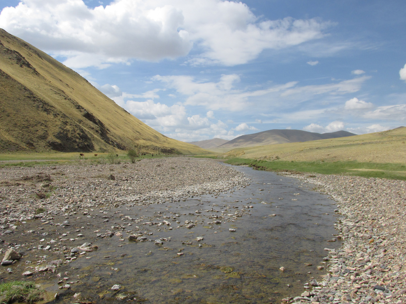 Окрестности Ташанты, image of landscape/habitat.