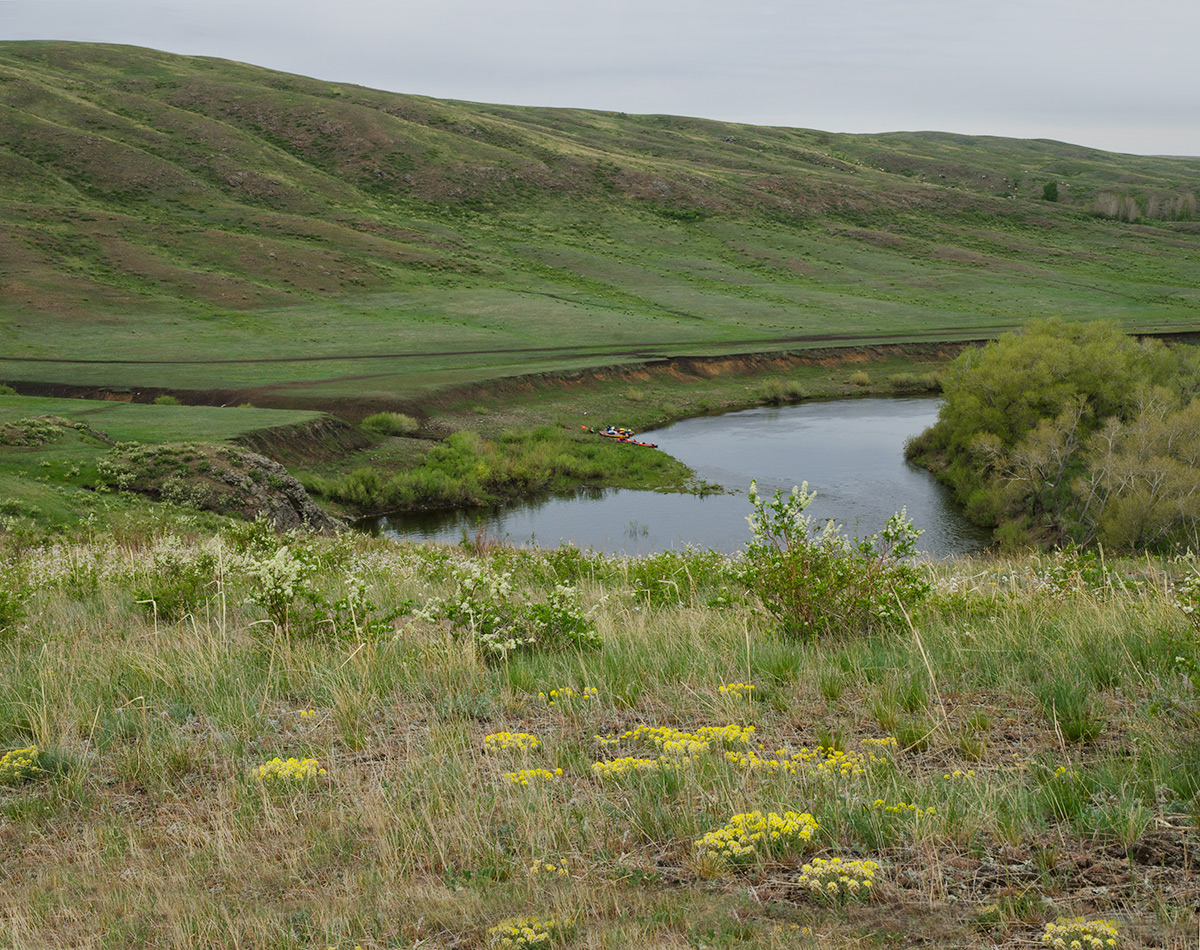 Богдановское, image of landscape/habitat.